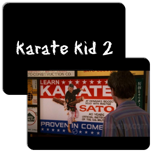 karate kid 2 Match The Memory