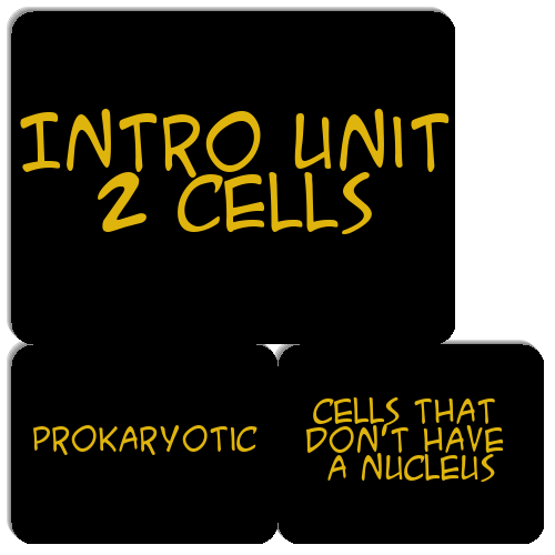 intro-unit-2-cells-match-the-memory