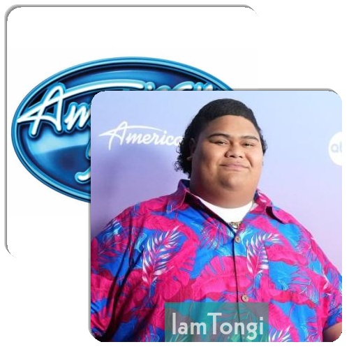 American Idol 2023 Match The Memory