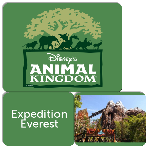 Walt Disney World Animal Kingdom Rides Match The Memory
