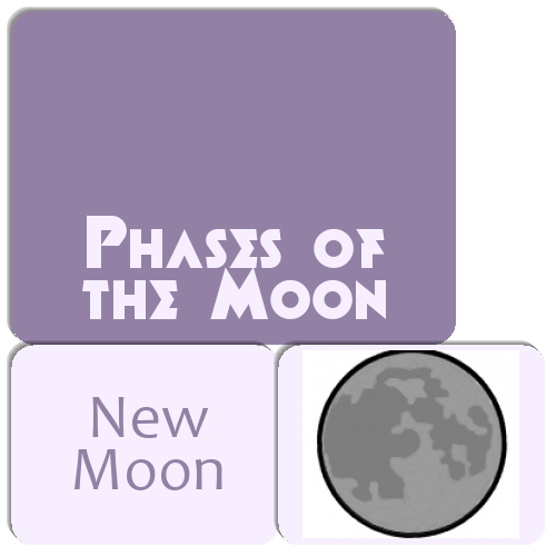 Phases of the Moon Matching Game