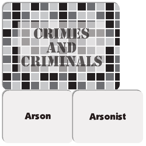 Crimes and Criminals Match The Memory