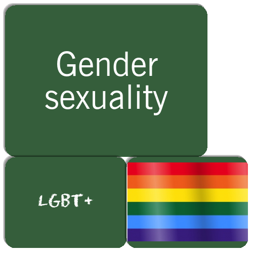 Gender Sexuality Matching Game Match The Memory 