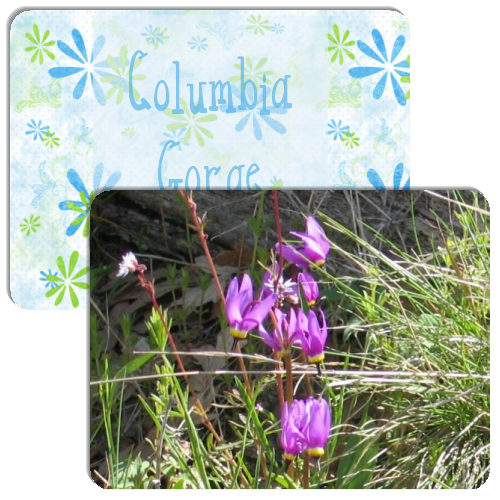 Columbia Wildflowers Match The Memory