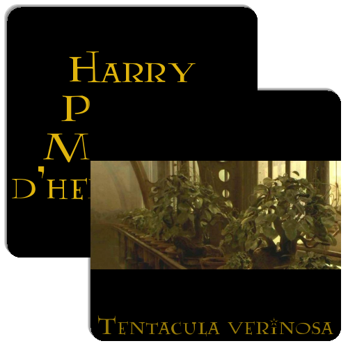 harry potter memory dherbologia match the memory