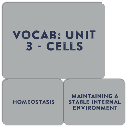 vocab-unit-3-cells-match-the-memory