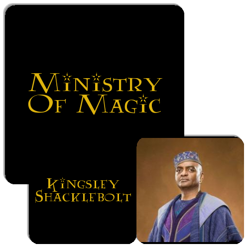 ministry-of-magic-match-the-memory