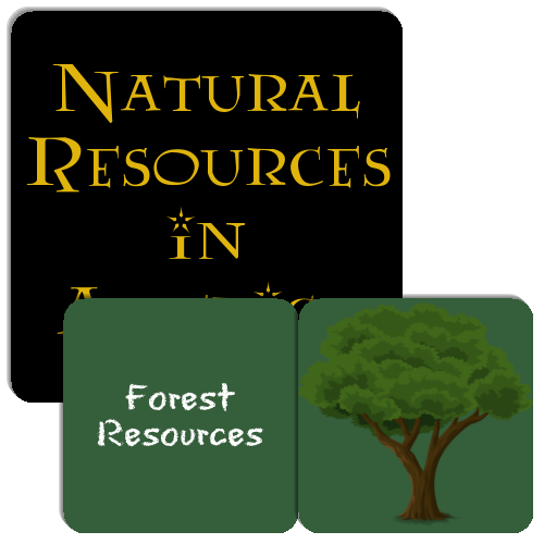 Natural Resources in America Match The Memory