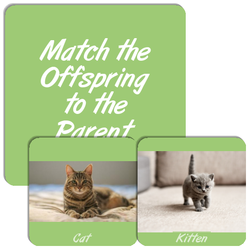 Match the Offspring to the Parent Match The Memory